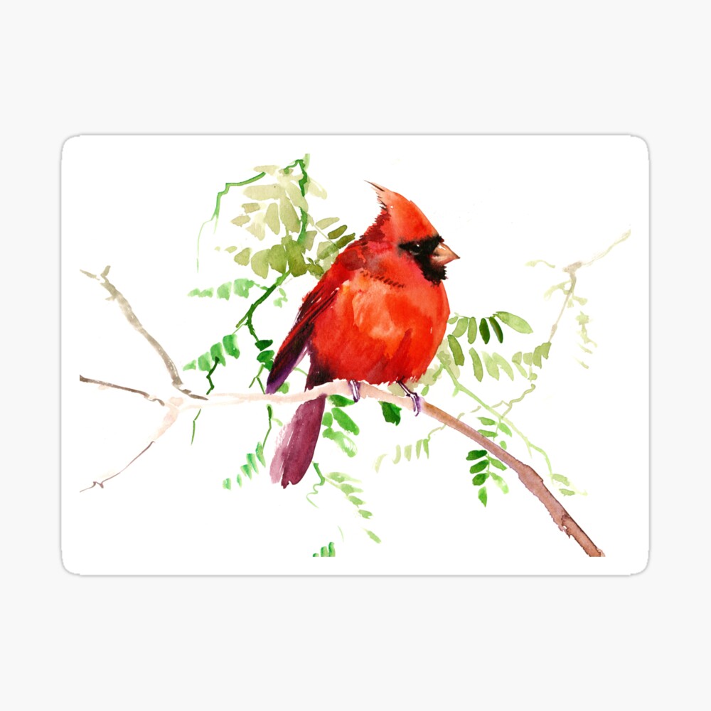 Red Cardinal Graphic T-Shirt for Sale by surenart