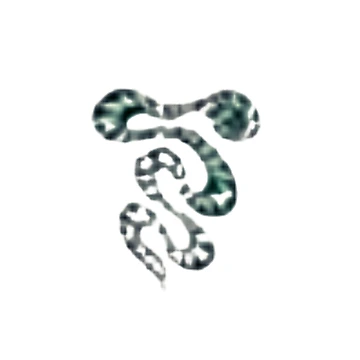 Artwork thumbnail, Snake Tee by RandaMay