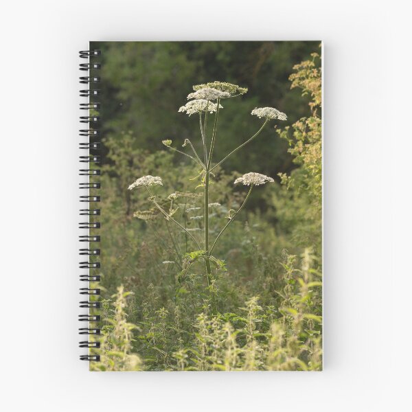 Item preview, Wild Meadow  designed and sold by ccullen222.