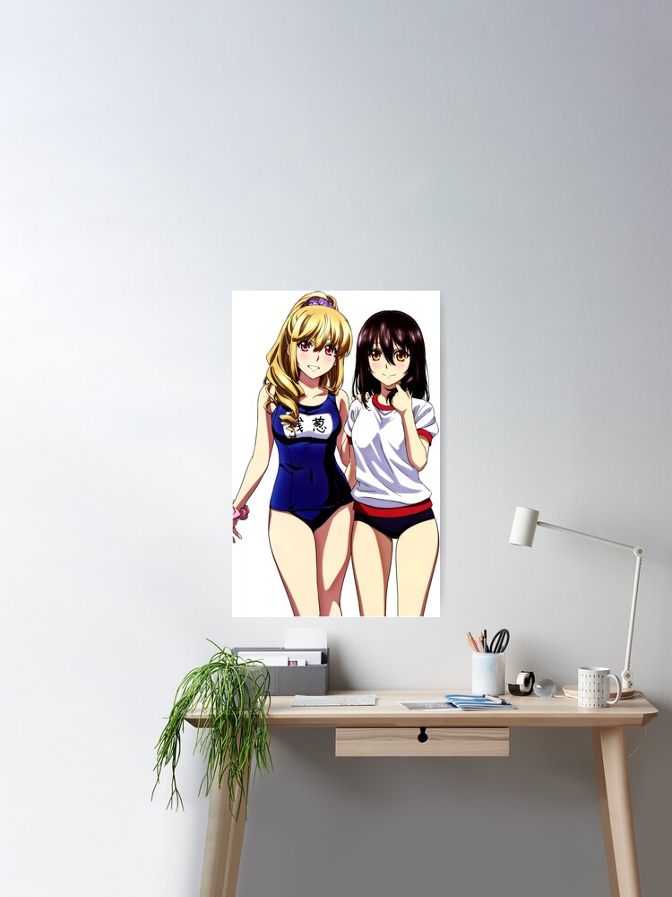 Japanese Harem Anime Strike The Blood Poster Wall Art Poster