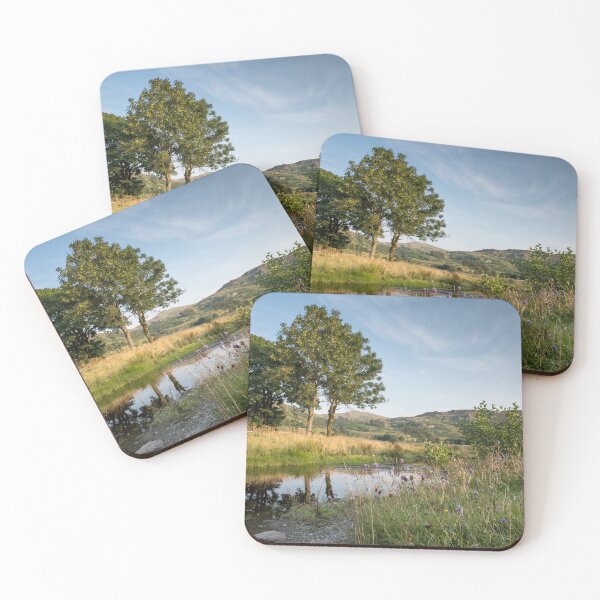 Item preview, Sumertime, Watendlath Beck designed and sold by John Dunbar.