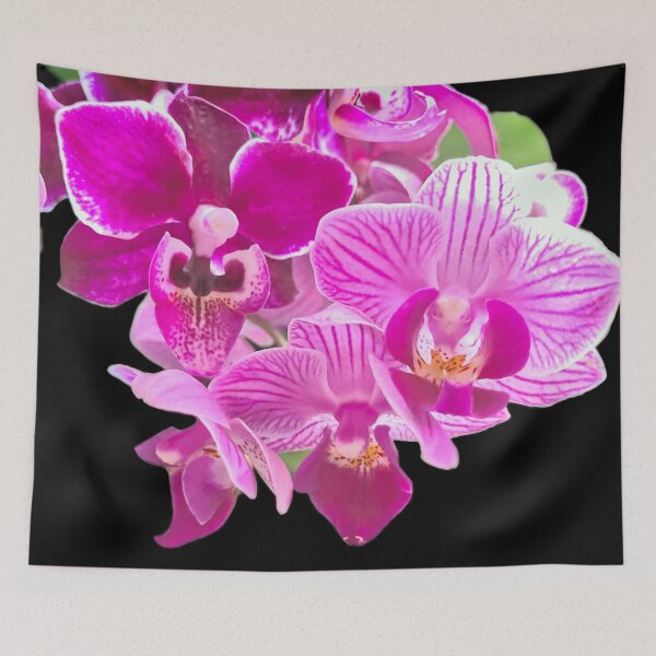 Item preview, Miniature Moth Orchids in Bloom designed and sold by Susan Maxwell Schmidt.