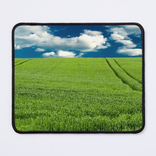 Item preview, Field of green wheat designed and sold by yanzappa.