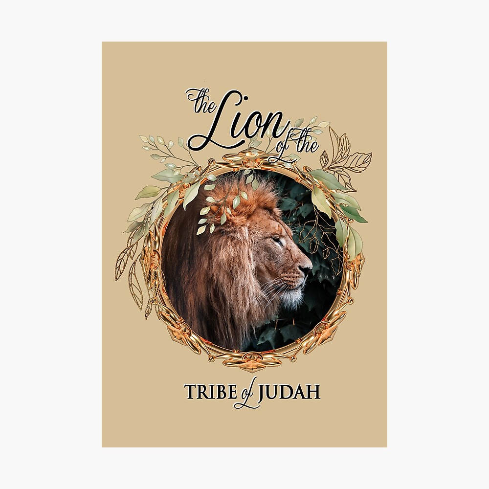 Lion of the tribe of Judah Tribal Lion HD wallpaper  Pxfuel