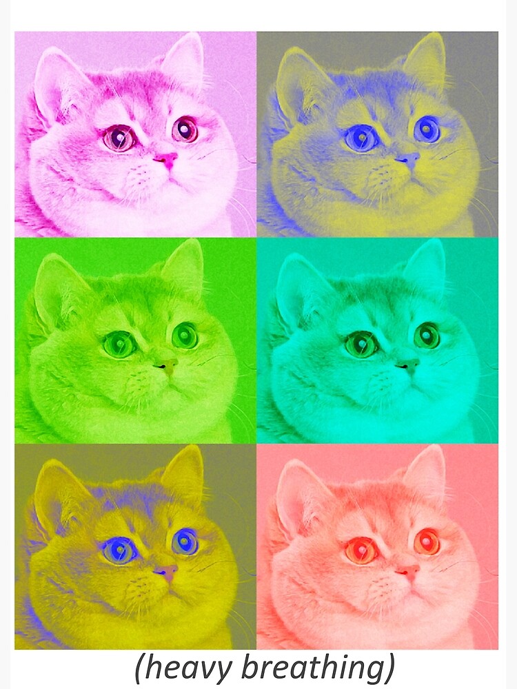 Heavy Breathing Cat Picture
