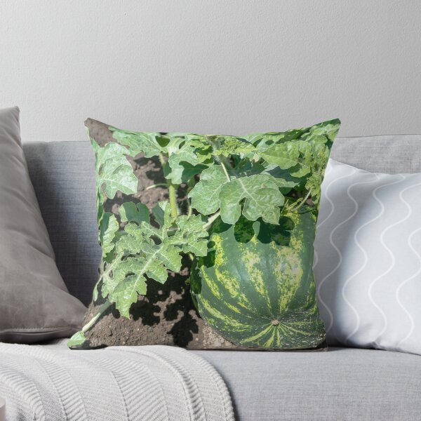 Item preview, Watermelon on the green melon field designed and sold by yanzappa.