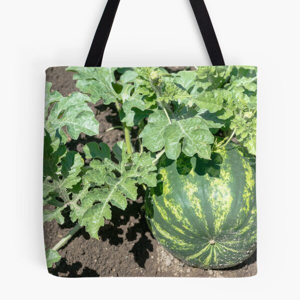 Item preview, Watermelon on the green melon field designed and sold by yanzappa.