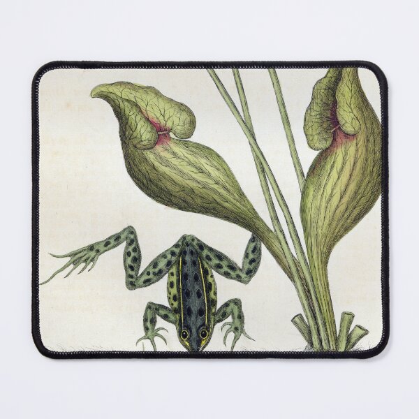 Item preview, Water Frog & Sarracenia designed and sold by Lloyd Library & Museum.