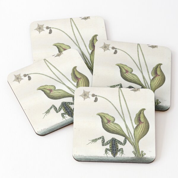 Item preview, Water Frog & Sarracenia designed and sold by Lloyd Library & Museum.