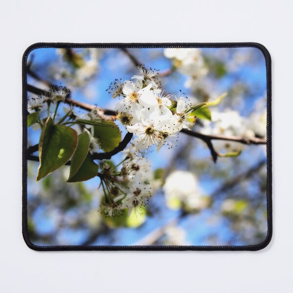 Item preview, April Blossoms designed and sold by Jennifer Rhoades.