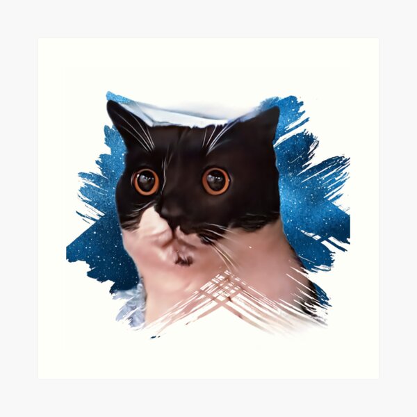 "Funny cat meme" Art Print for Sale by WeDesignBest Redbubble