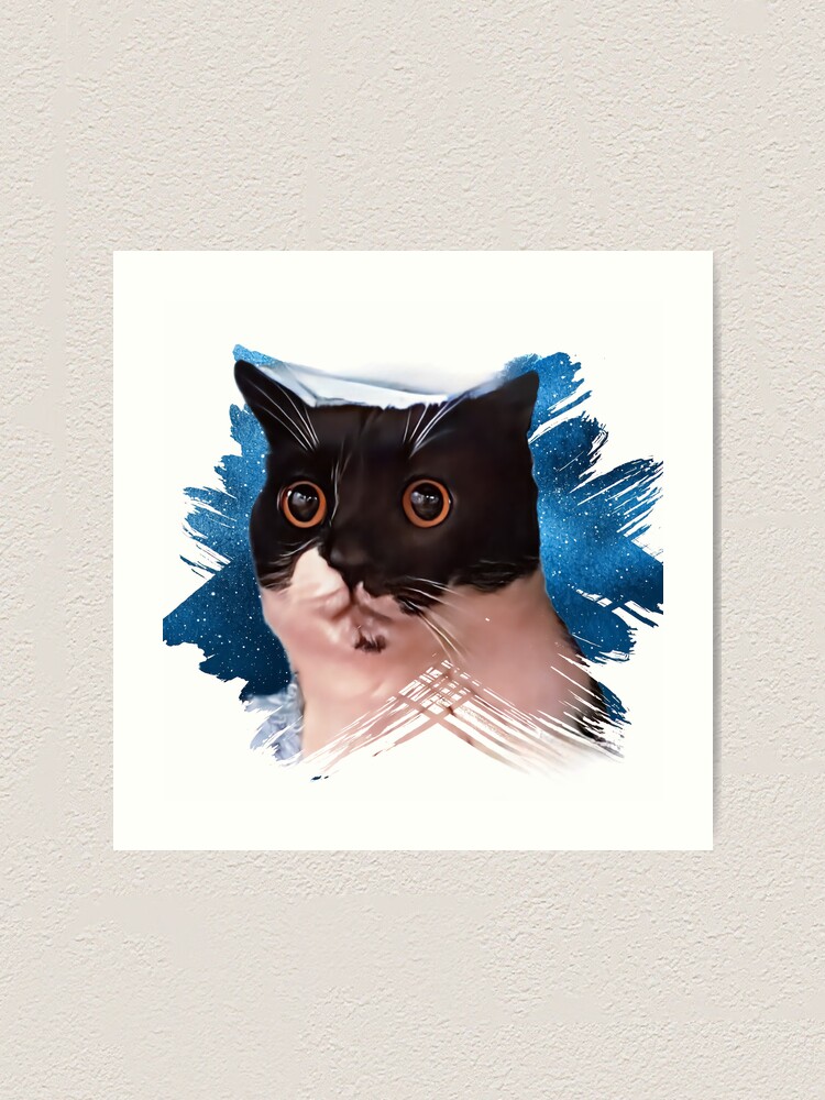 "Funny cat meme" Art Print for Sale by WeDesignBest Redbubble