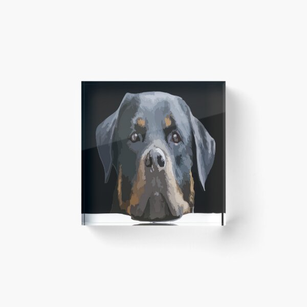 Artikelvorschau, Rottweiler späht über eine weiße Wand vor Schwarz entworfen und verkauft von taiche.