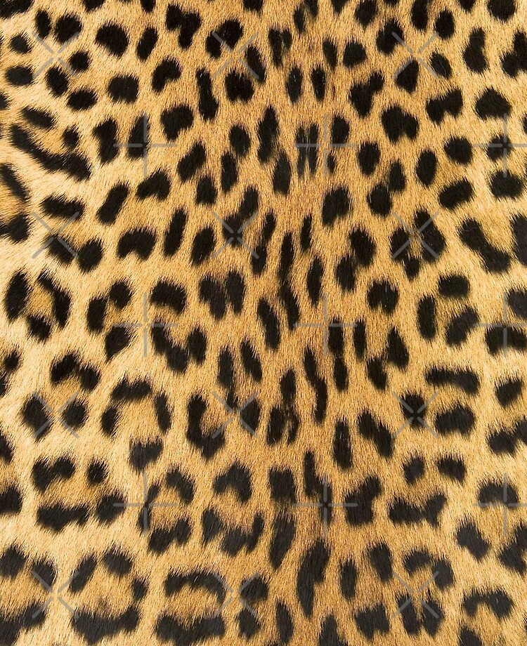 Animal Print Background. Tiger Animal Print Textured Background