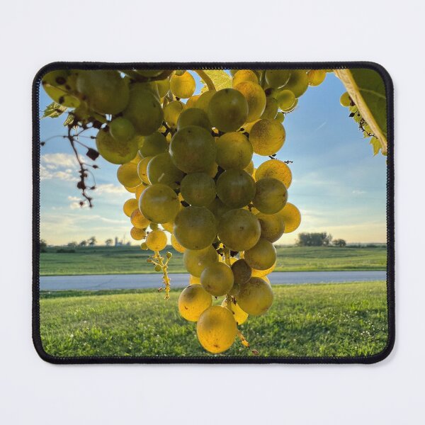 Item preview, Grapes - Photo by Lauri Nelson designed and sold by 4Goals NonProfit.