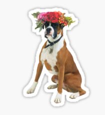 Flower crowned boxer Sticker