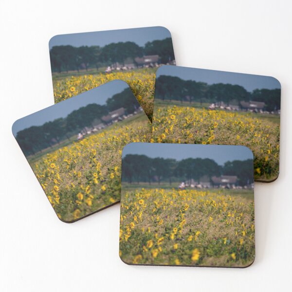 Item preview, Sunflower field designed and sold by Araveen-Photo.