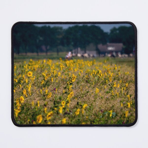 Item preview, Sunflower field designed and sold by Araveen-Photo.