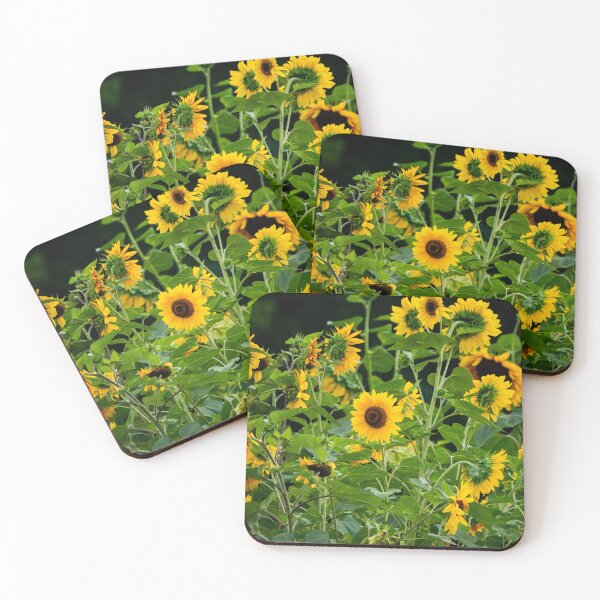 Item preview, Sunflower field designed and sold by Araveen-Photo.