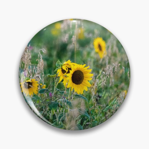 Item preview, Sunflower field designed and sold by Araveen-Photo.
