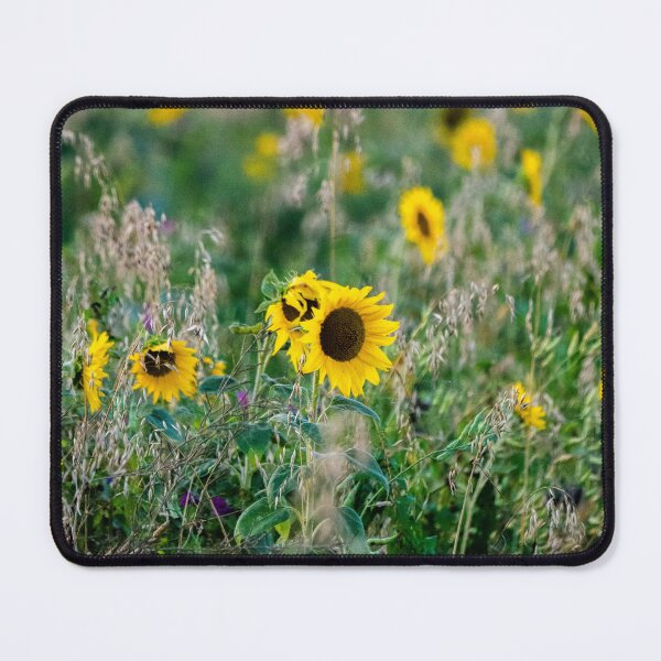 Item preview, Sunflower field designed and sold by Araveen-Photo.
