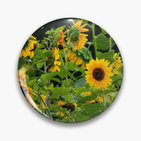 Item preview, Sunflower field designed and sold by Araveen-Photo.