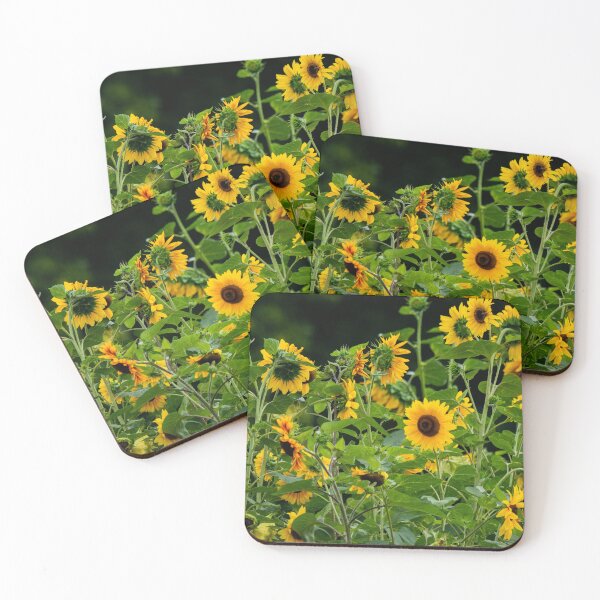 Item preview, Sunflower field designed and sold by Araveen-Photo.