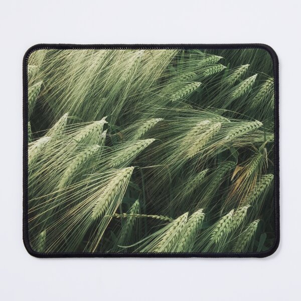 Item preview, Green wheat designed and sold by Zip-Zup.