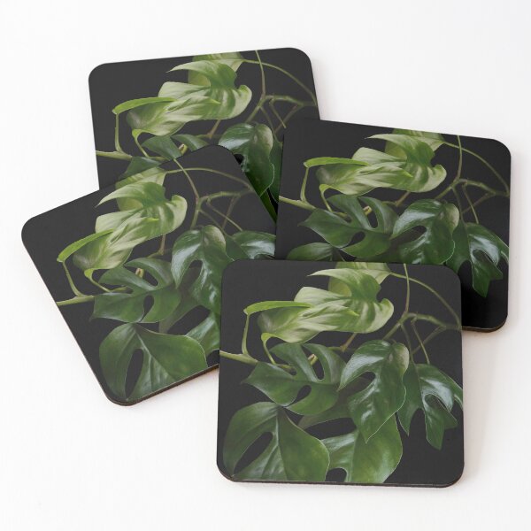 Item preview, Mini Monstera (Rhaphidophora Tetrasperma) Macro Dark Photography  designed and sold by plantsbutbetter.