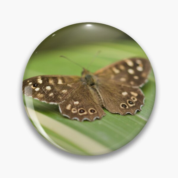Item preview, Brown Butterfly  designed and sold by Kafue.