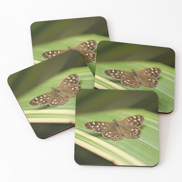 Item preview, Brown Butterfly  designed and sold by Kafue.