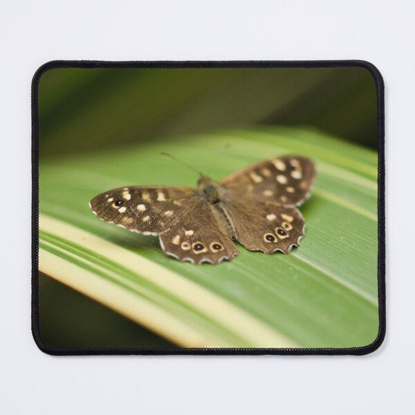 Item preview, Brown Butterfly  designed and sold by Kafue.