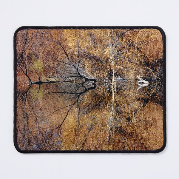 Item preview, Silent Reflections designed and sold by Vicki Pelham.