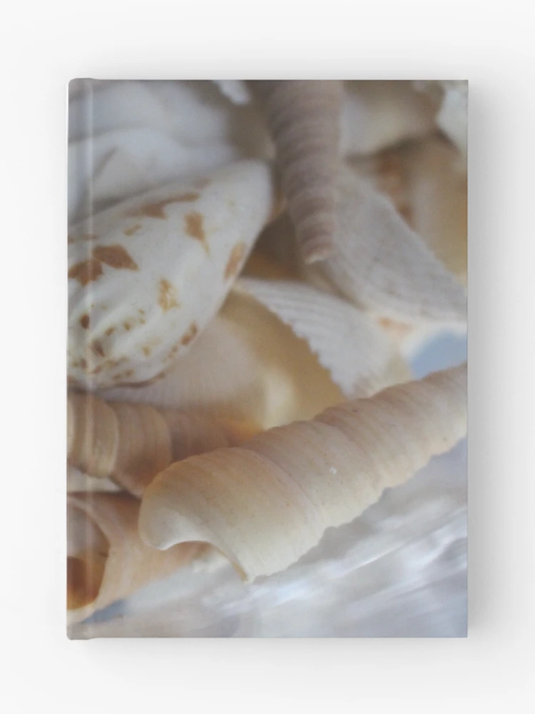 Thumbnail 1 of 3, Journal, Shells designed and sold by JuliaLyn.