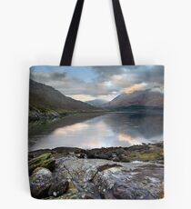 Sprited Landscape Tote Bag