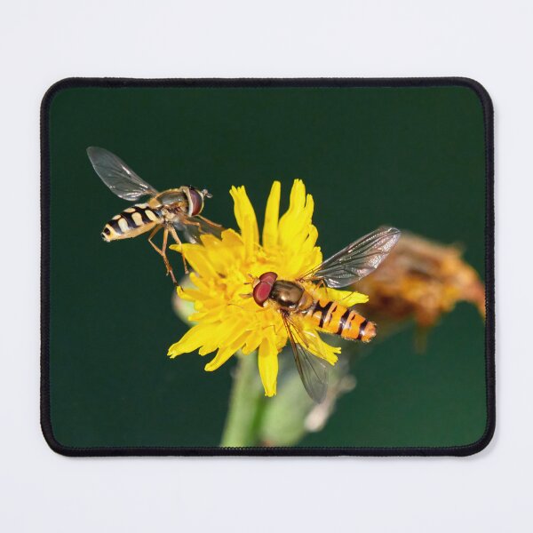 Item preview, Hoverflies united designed and sold by Jouko Lehto Photography.