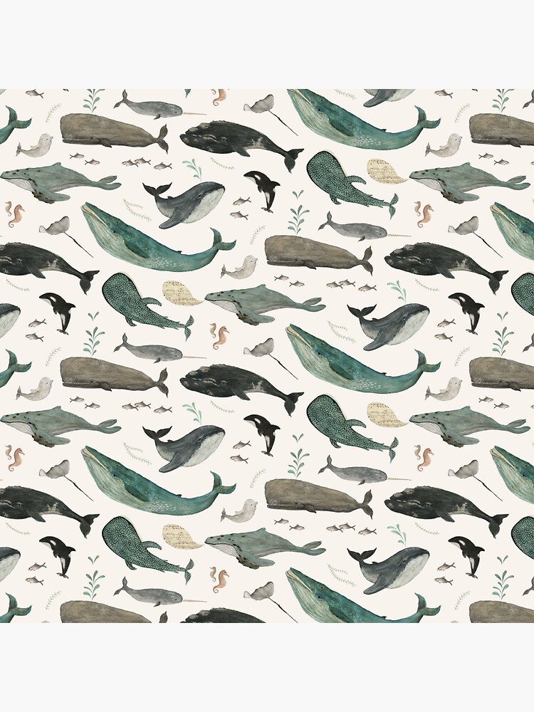 Whale Song by katherineq