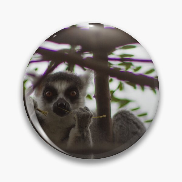 Item preview, Caught designed and sold by Wayne Thomson.