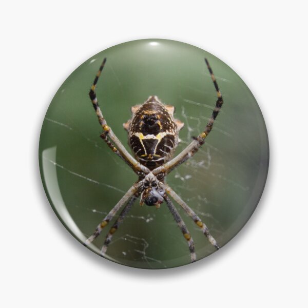 Item preview, Orb Weaver Spider designed and sold by Wayne Thomson.