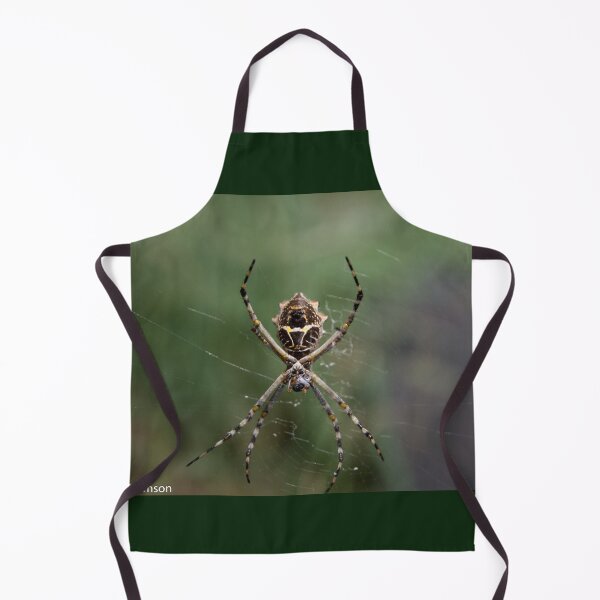 Item preview, Orb Weaver Spider designed and sold by Wayne Thomson.