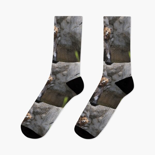 Item preview, Playful Grizzly designed and sold by Wayne Thomson.