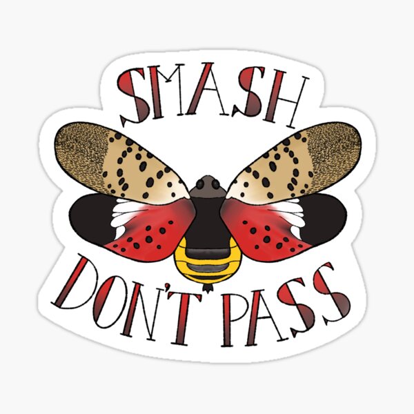 smash or pass? Sticker for Sale by sleman123456