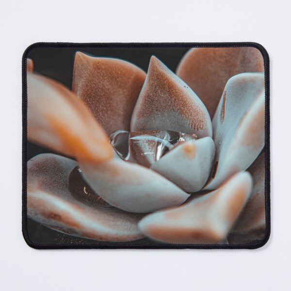 Item preview, water and plant life designed and sold by javimonasterio.