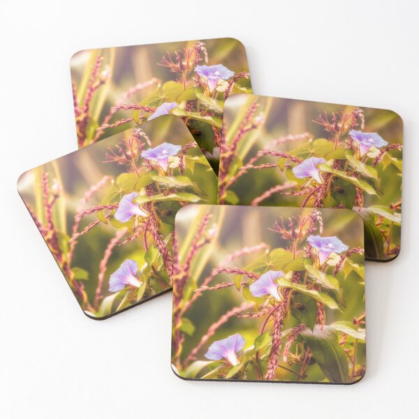Item preview, Morning Glory Loves Corn designed and sold by Jim Love.