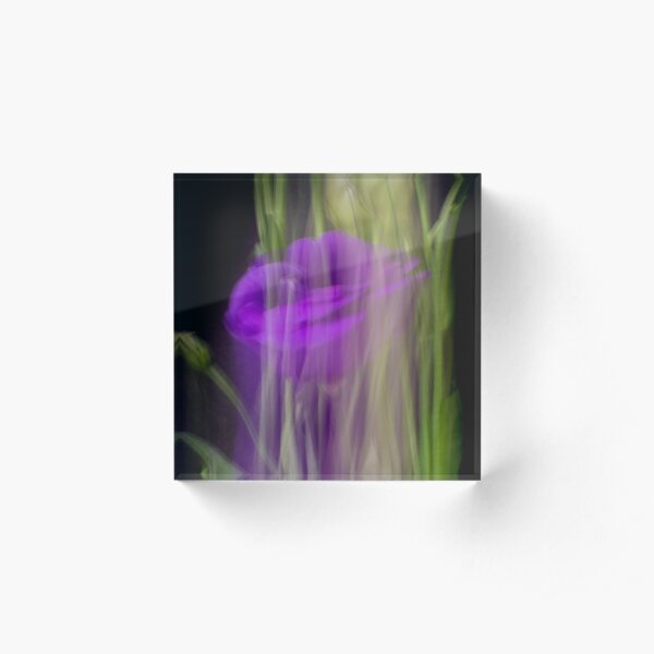 Fleur Blur-Abstract Purple Flower Photo Acrylic Block