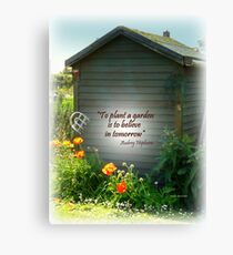 Brightening the Garden Shed Canvas Print