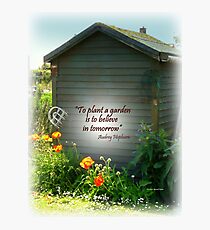 Brightening the Garden Shed Photographic Print