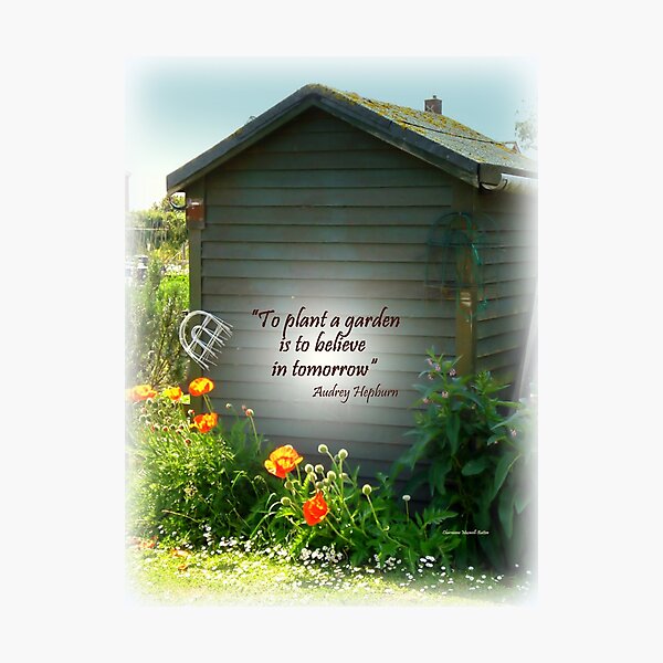 Brightening the Garden Shed Photographic Print