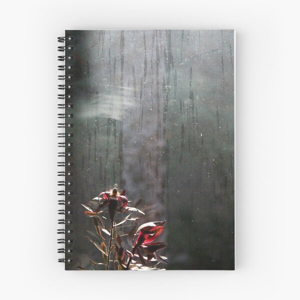 Item preview, expectation designed and sold by Marianna Tankelevich.