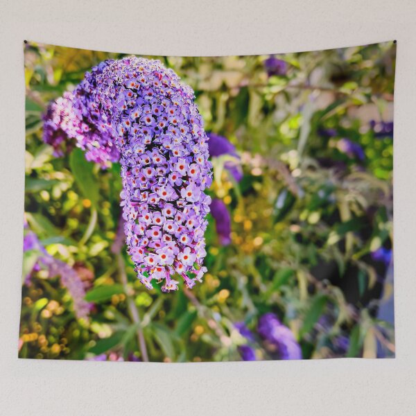 Item preview, What the Hummingbird Saw designed and sold by Steve Walser.